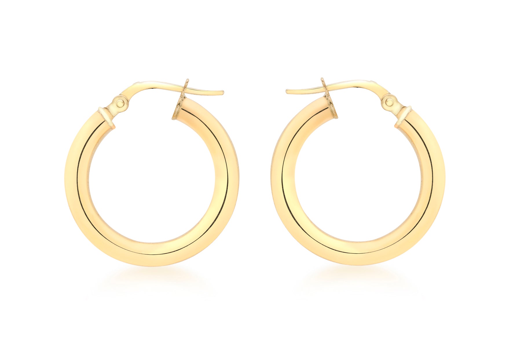 Claudia Hoop Earrings