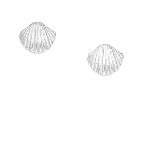 Silver Shell Stud Earrings