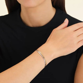 Duo Snake Bracelet