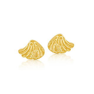 Shell Earrings