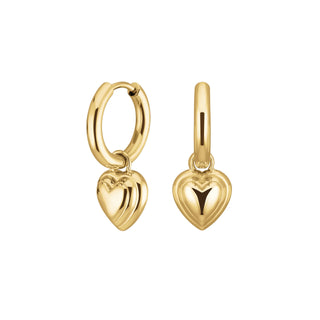 Heart Pendant Earrings