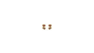 9ct Elegant Twin Rose Halo Earrings