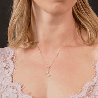 9ct Gold Moon and CZ Heart Necklace